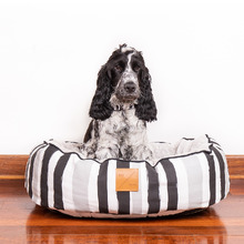 Pebble Black Brush Stroke 4 Seasons Dog Bed